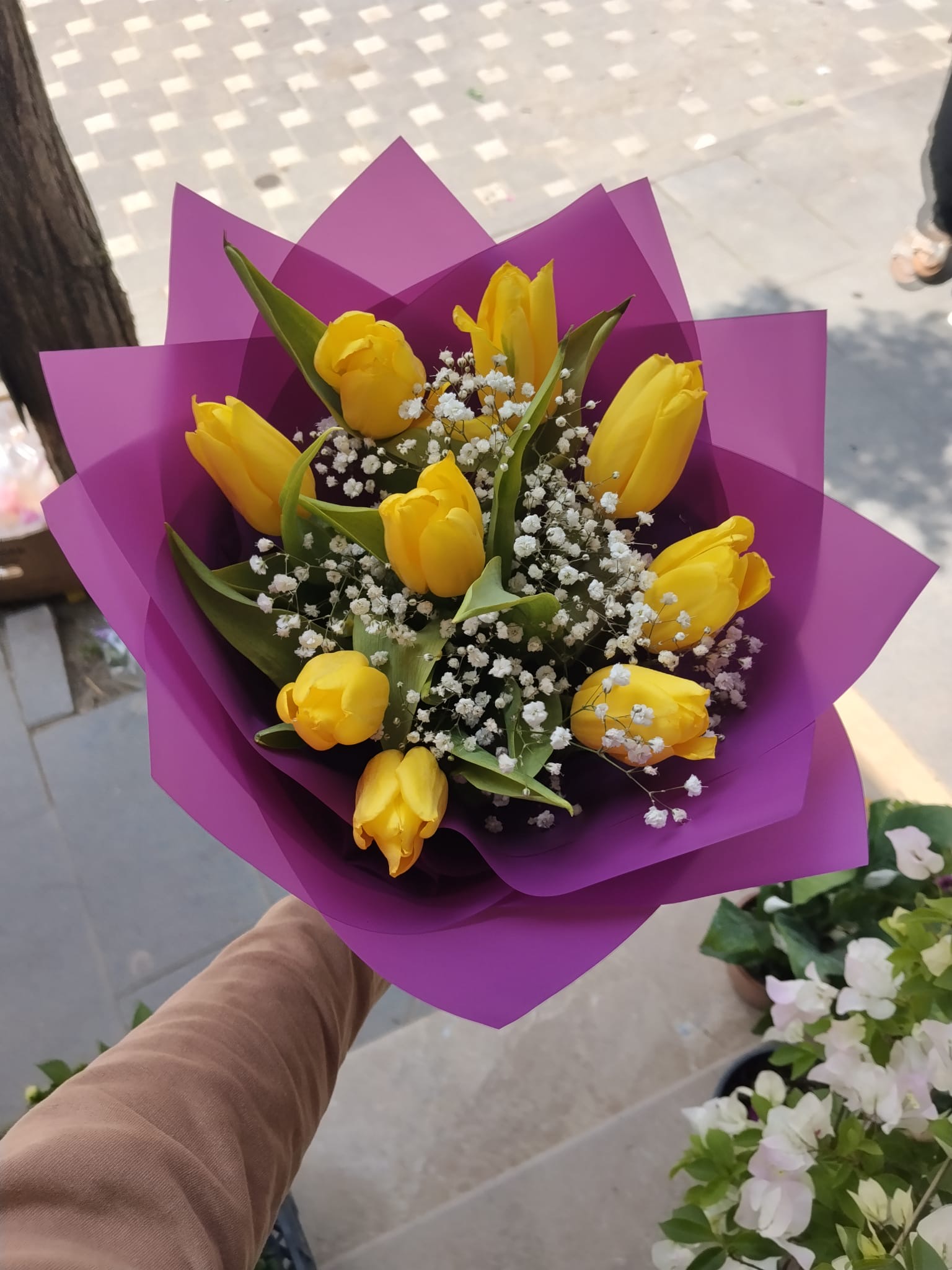 Canlı  Buket