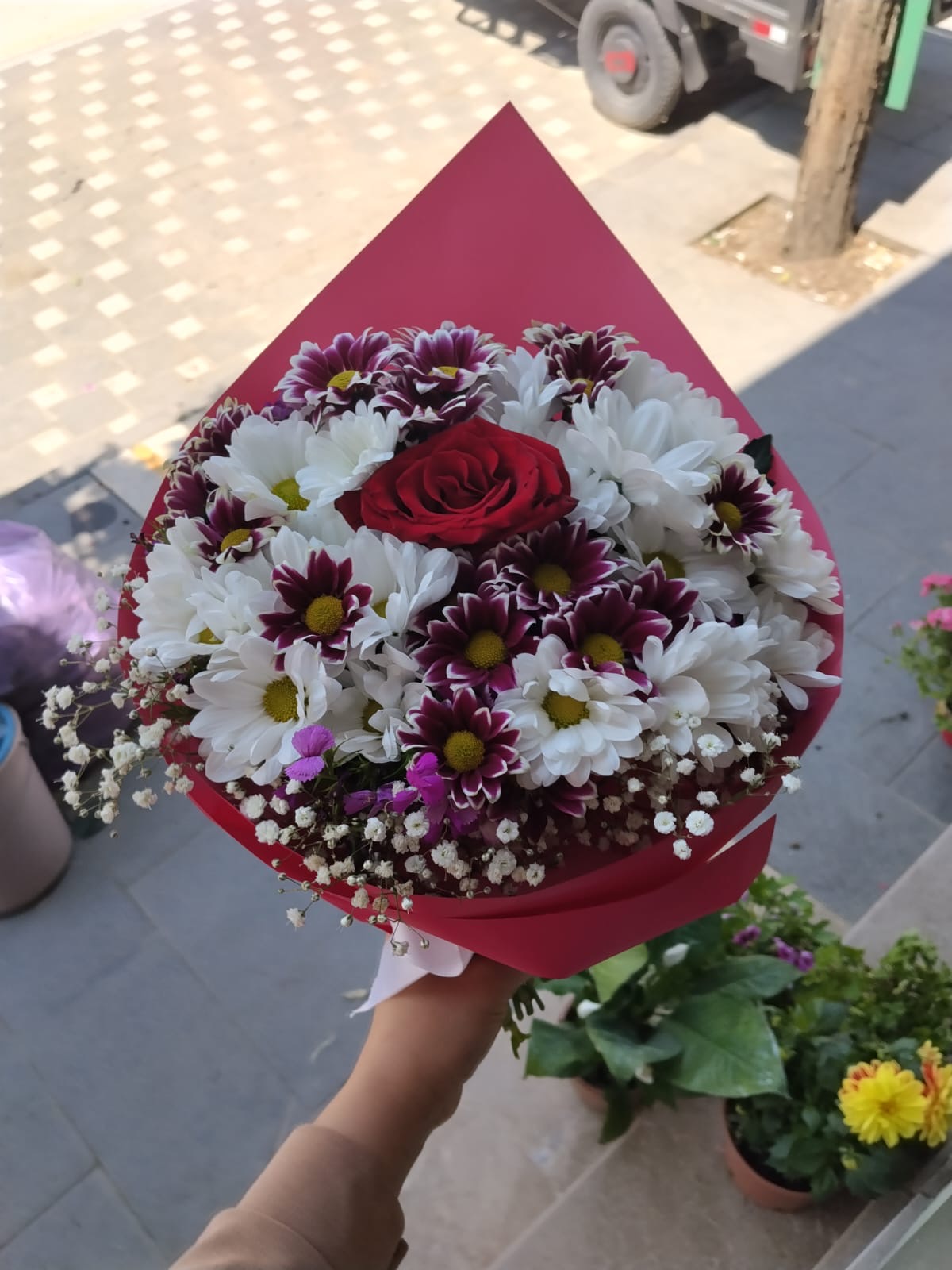 Canlı  Buket
