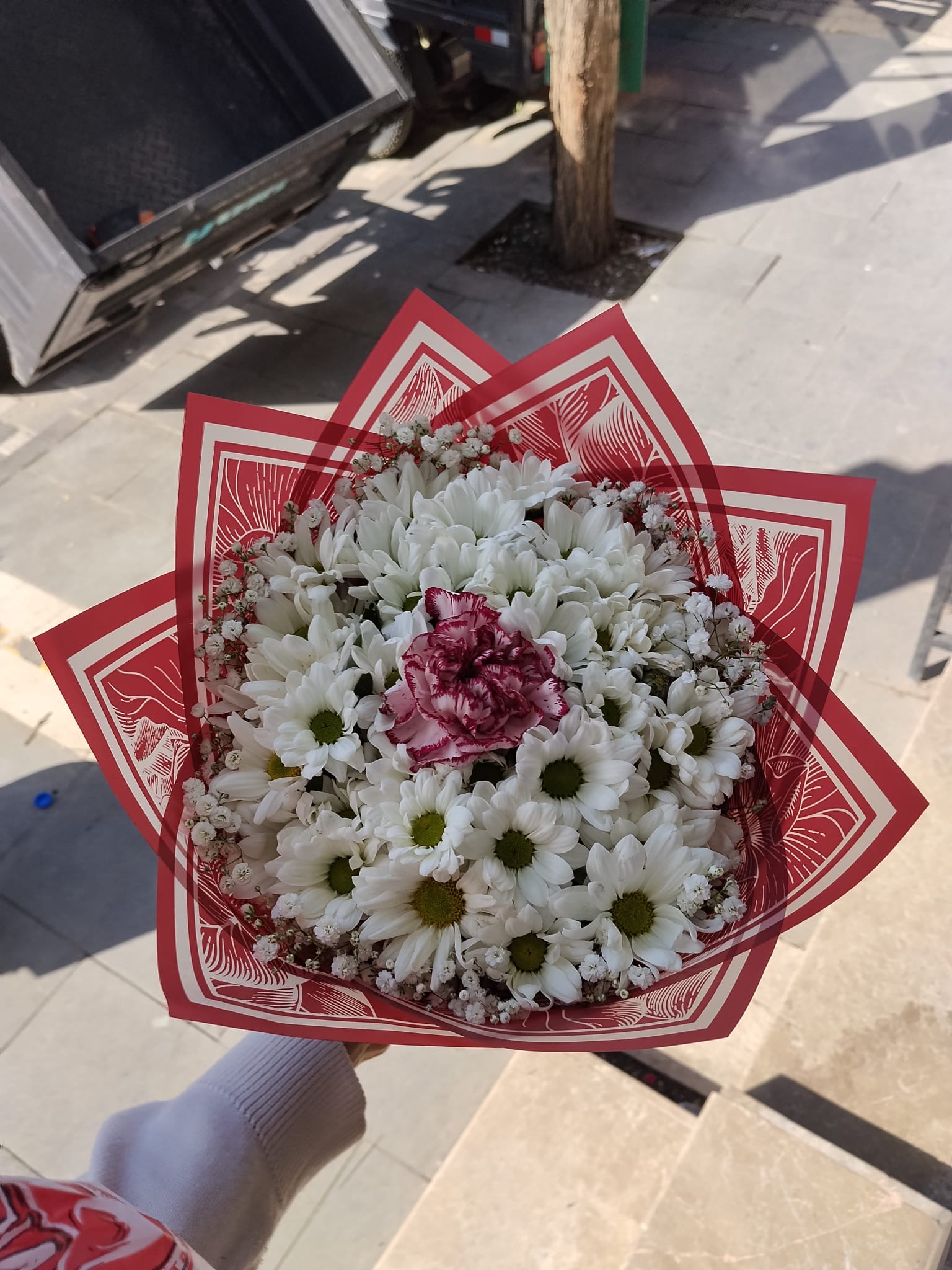 Canlı  Buket