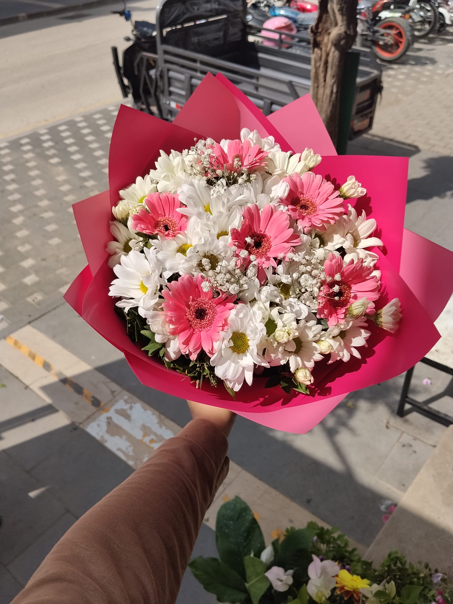 Canlı  Buket