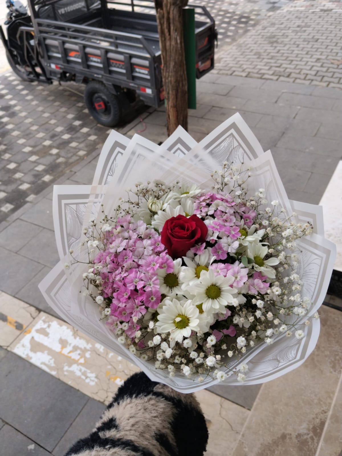 Canlı  Buket